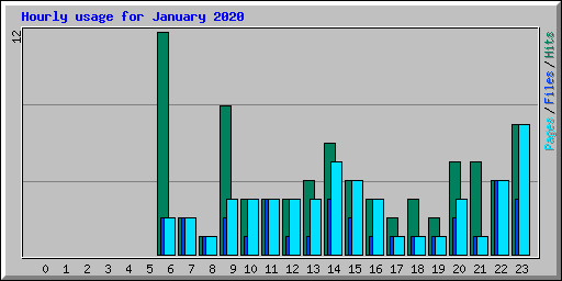 Hourly usage for January 2020